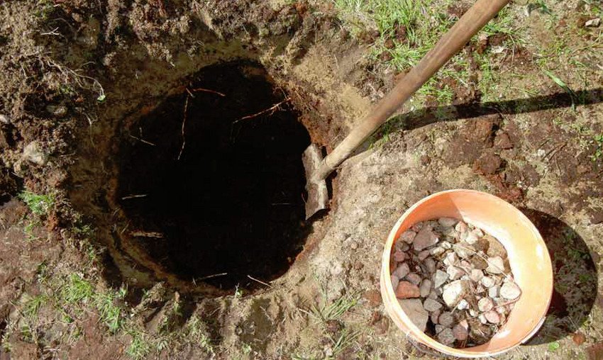 Підготовка посадкової ями