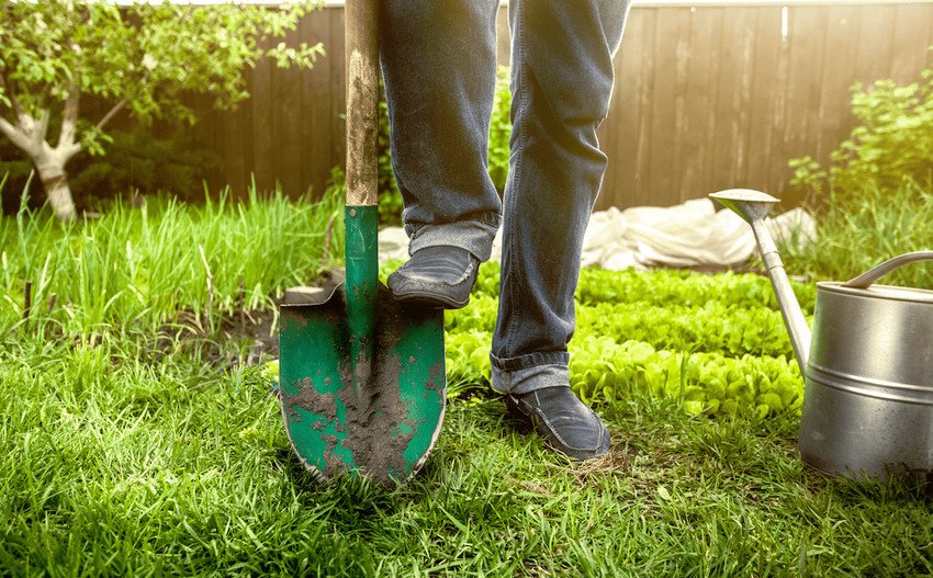 Догляд за грунтом