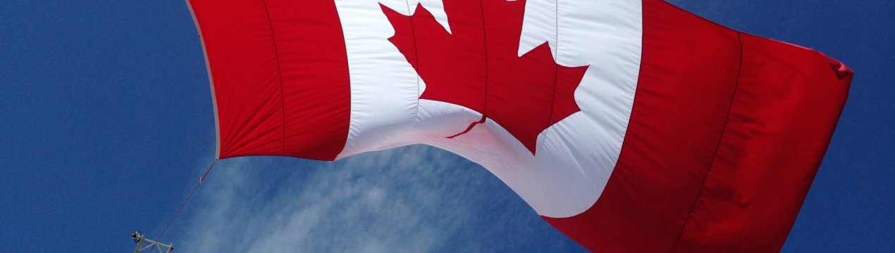 Канада інвестує в нові сорти яблук і вишні