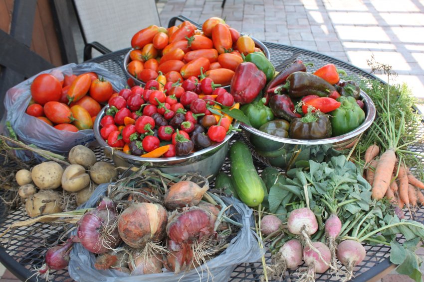 Врожай городніх культур Врожай городніх культур