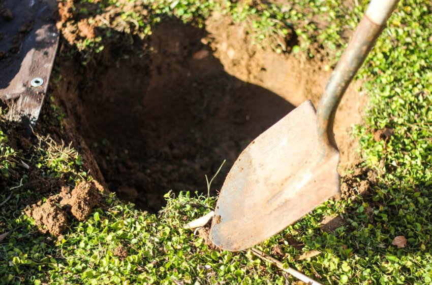 Підготовка посадкової ями