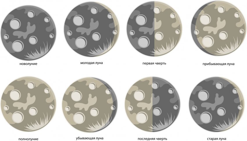 Фази місяця Фази місяця