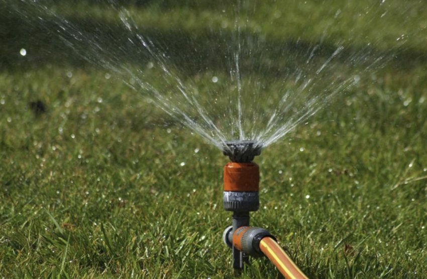 Полив дощуванням