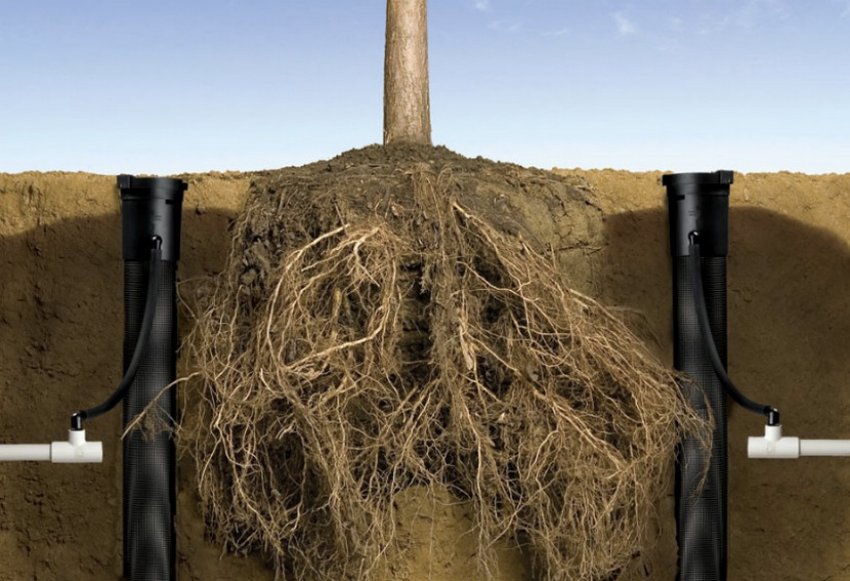 Підгрунтовий полив