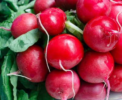Українські агропідприємства не беруться вирощувати редиску