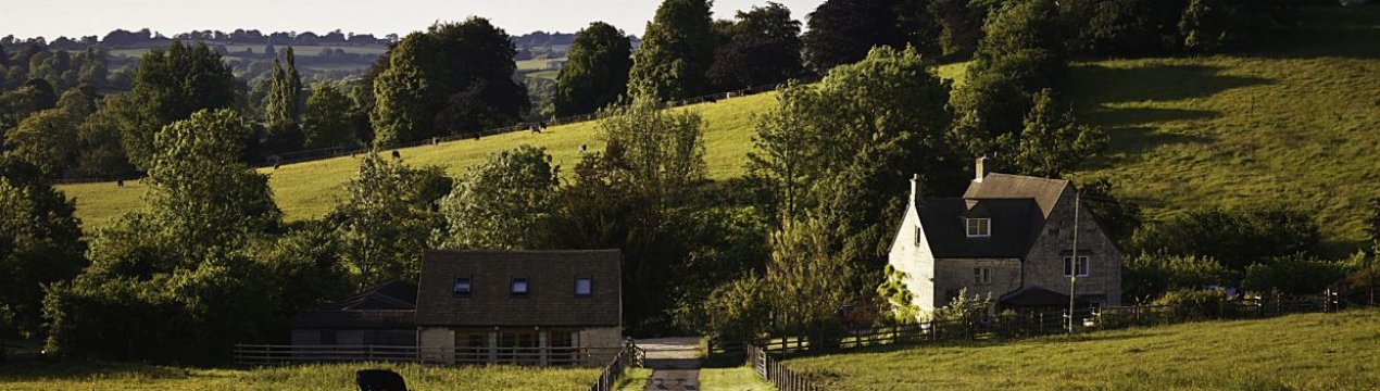 В Англії падає довіра фермерів до агроекологічних програм