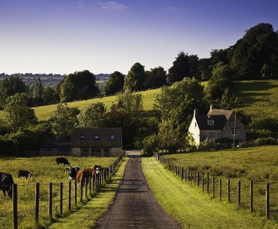 В Англії падає довіра фермерів до агроекологічних програм