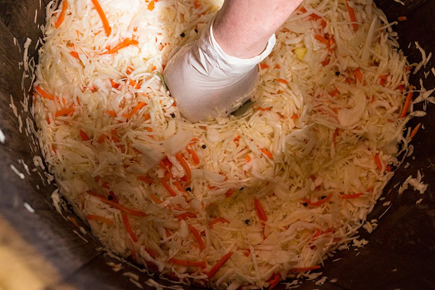 Засолювання капусти Засолювання капусти