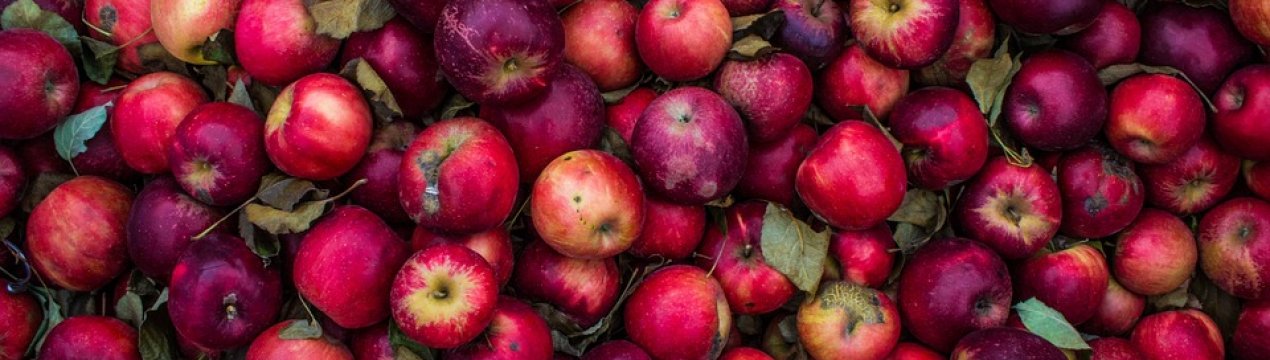 Скандал: у Чернівецькій області у населення за безцінь скуповують яблука