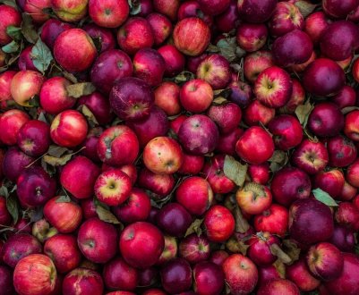 Скандал: у Чернівецькій області у населення за безцінь скуповують яблука