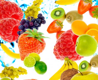 У Липецьку стартує грандіозне будівництво: аграріям презентують унікальну фруктосховище