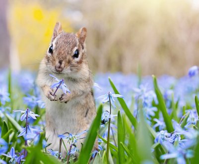 Кінець березня порадує російських аграріїв задовільними умовами