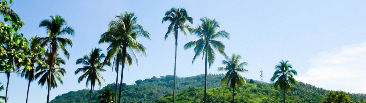 Філіппіни терплять сельхозубытки від ефекту Ель-Ніньо