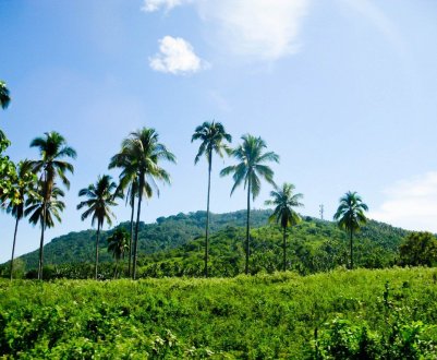Філіппіни терплять сельхозубытки від ефекту Ель-Ніньо