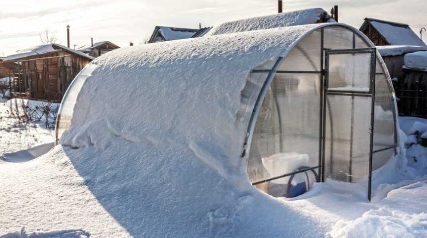 Теплиця в февравле