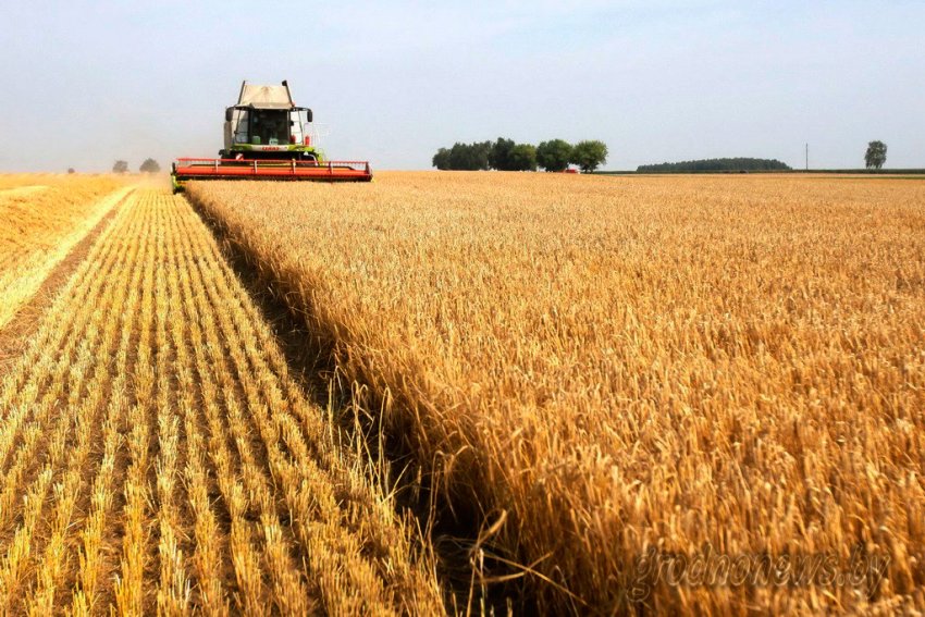 Ранні ярі зернові почали сіяти у Вінницькій області Ранні ярі зернові почали сіяти у Вінницькій області