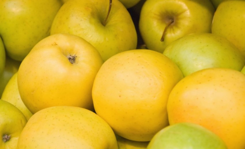 Яблука Голден Делішес