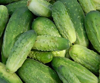 В Україні з'явилися місцеві огірки врожаю 2019 року. Так вони безпечні?