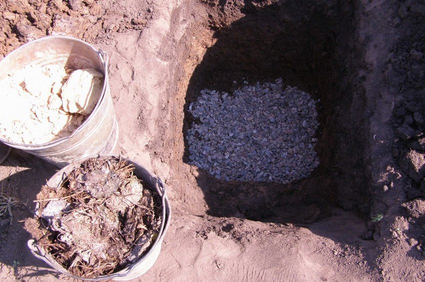 Посадкова яма Посадкова яма