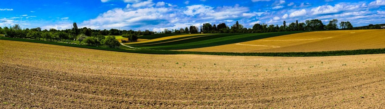 Посівна кампанія в Хмельницькій області все більше дорожчає