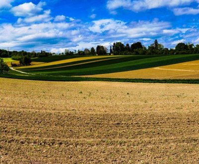 Посівна кампанія в Хмельницькій області все більше дорожчає