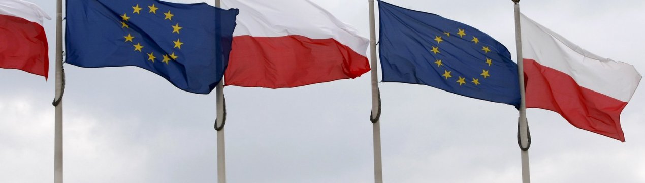 Європейська перевірка польських боєнь виявила проблеми з документацією