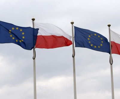 Європейська перевірка польських боєнь виявила проблеми з документацією