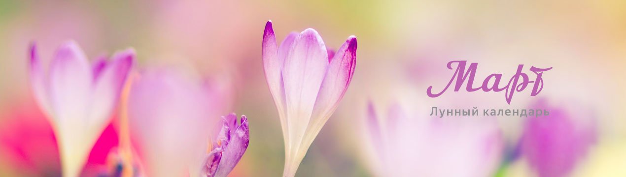 Які садово-городні роботи можна проводити в березні 2019 року за місячним календарем