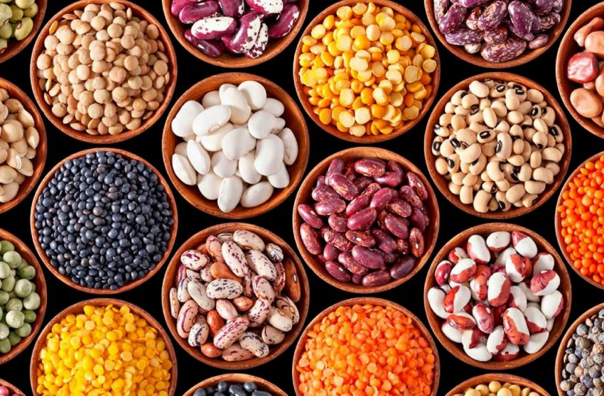 Торгова невизначеність між США і Китаєм не вплинула на ціни на сою і кукурудзу на американському ринку