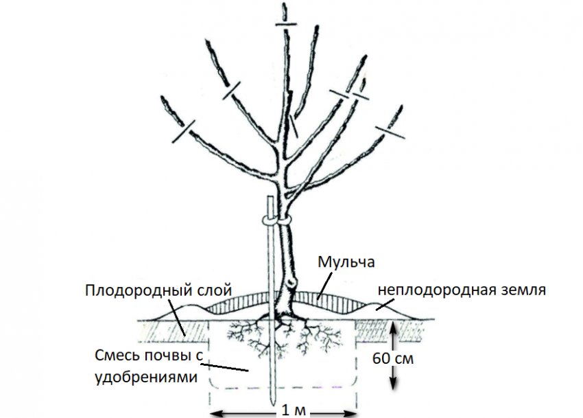 Схема посадки