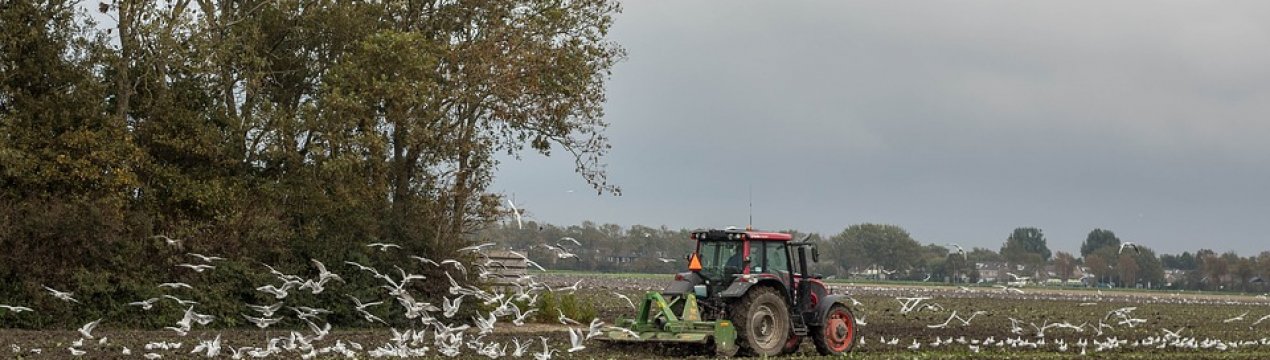 Посівна кампанія проходить в 14 областях України
