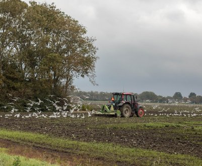 Посівна кампанія проходить в 14 областях України