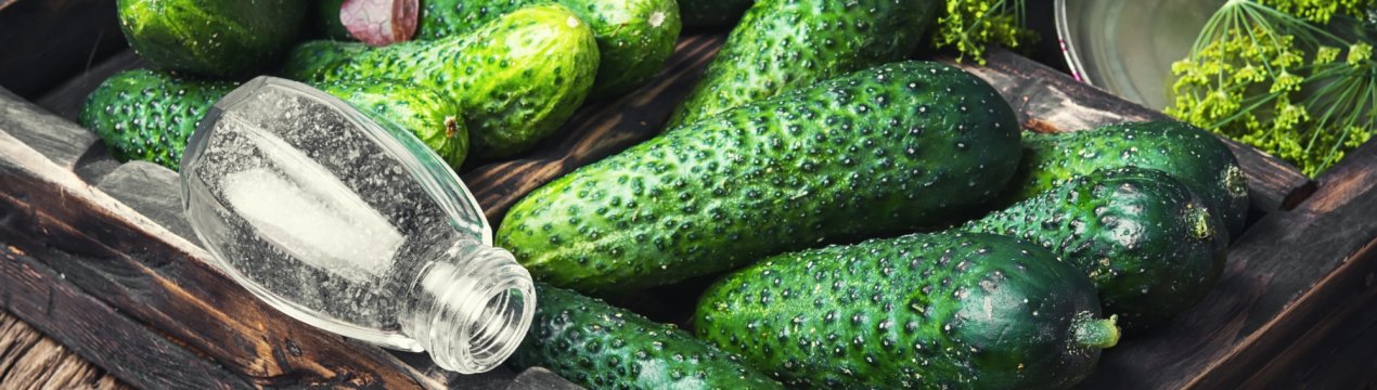 Кримські теплиці ломляться від огіркового врожаю