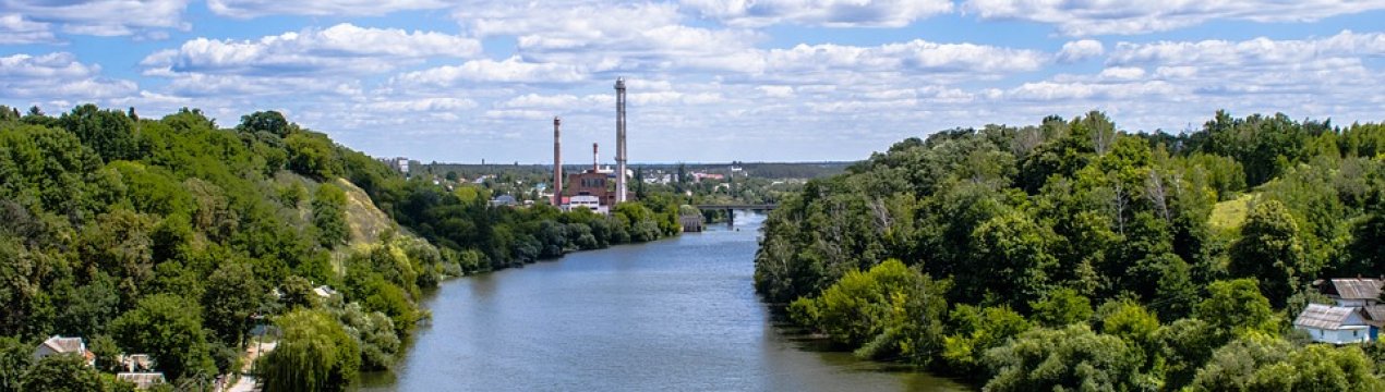 Житомирське водосховище поповнилося 2 тоннами риби