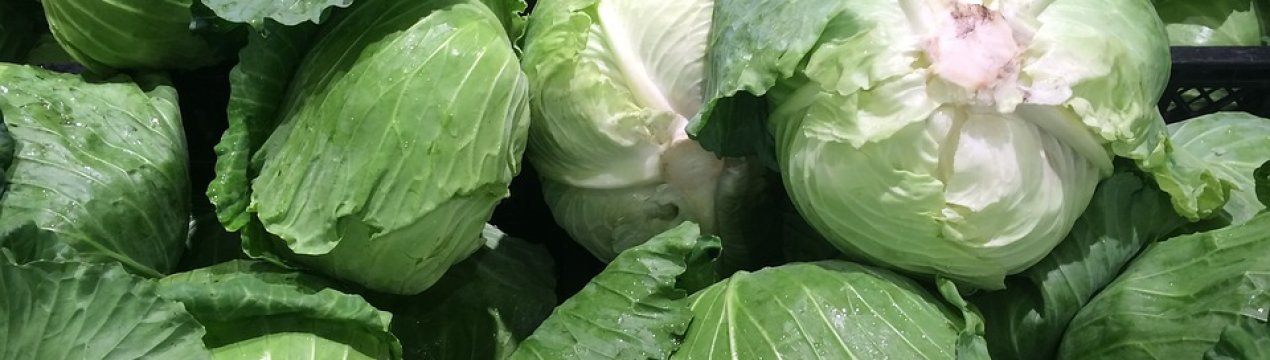 За рік білокачанна капуста в Україні подорожчала в три рази