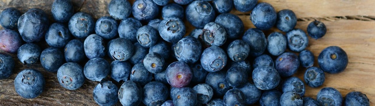 Україна вперше почне експортувати органічну лохину