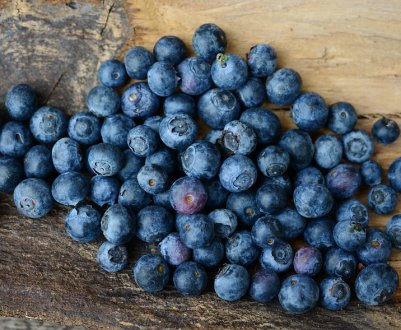 Україна вперше почне експортувати органічну лохину