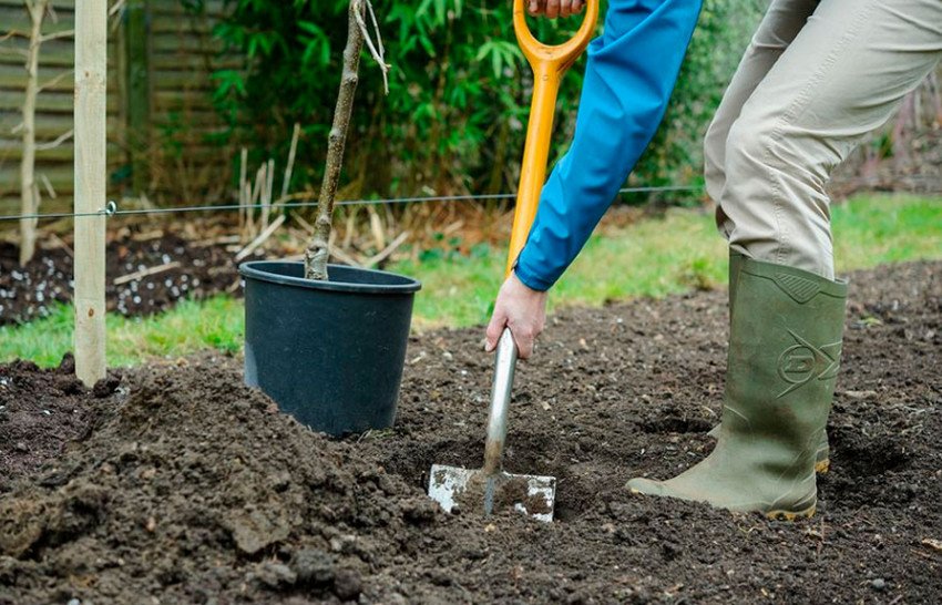 Підготовка грунту Підготовка грунту