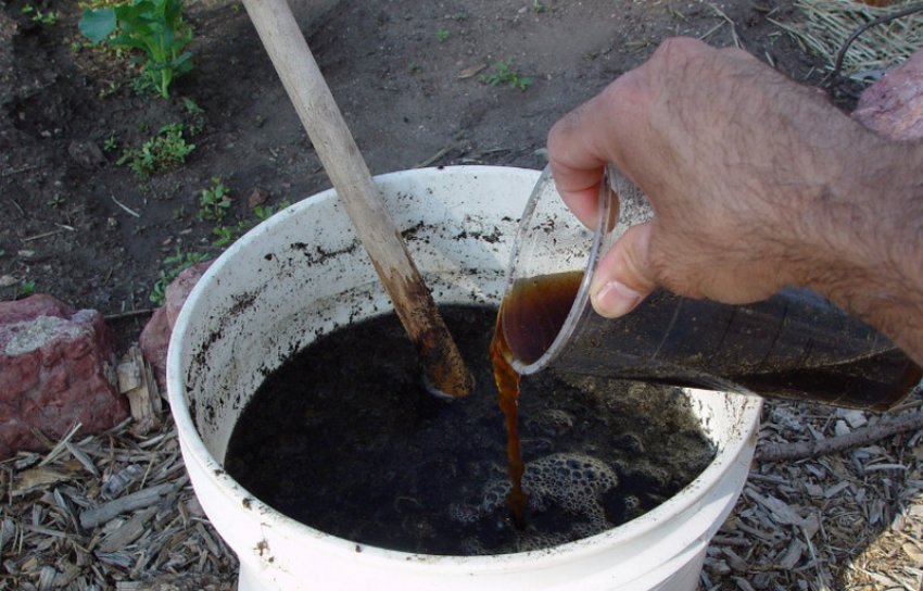 Рідке добриво Рідке добриво