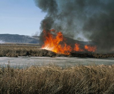 Закарпаття палає: громадяни продовжують спалювати сухостій