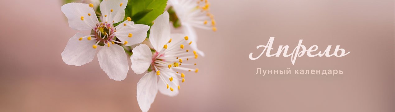 Місячний календар на квітень 2019 року для садівників і городників