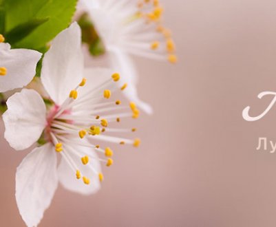 Місячний календар на квітень 2019 року для садівників і городників