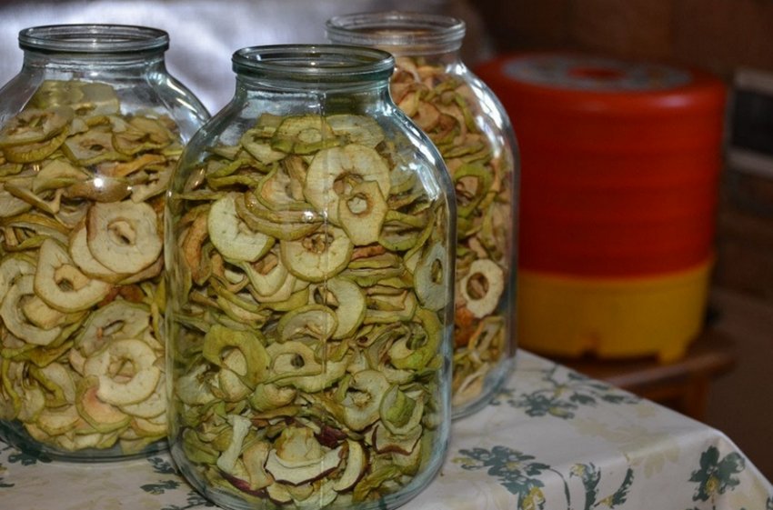 Зберігання сушених яблук в банку Зберігання сушених яблук в банку