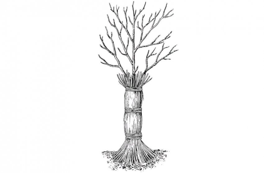 Укриття на зиму