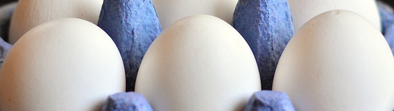 Виробництво яєць в Україні почало зростати з початку 2019 року