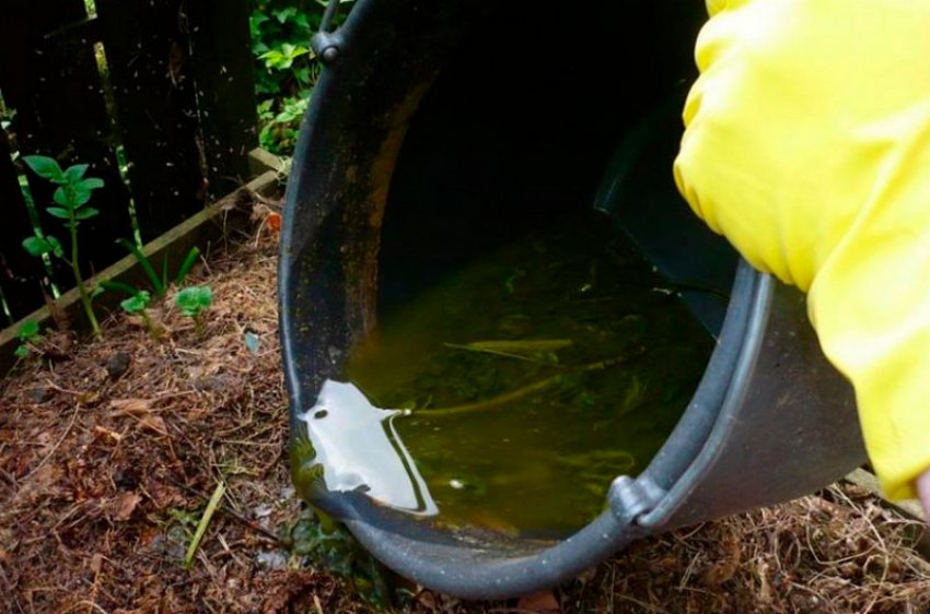 Внесення органічних добрив Внесення органічних добрив