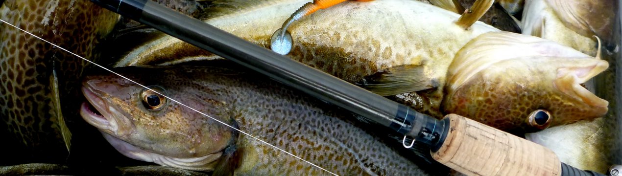 Можливість є! Сіверян забезпечать доступною тріскою