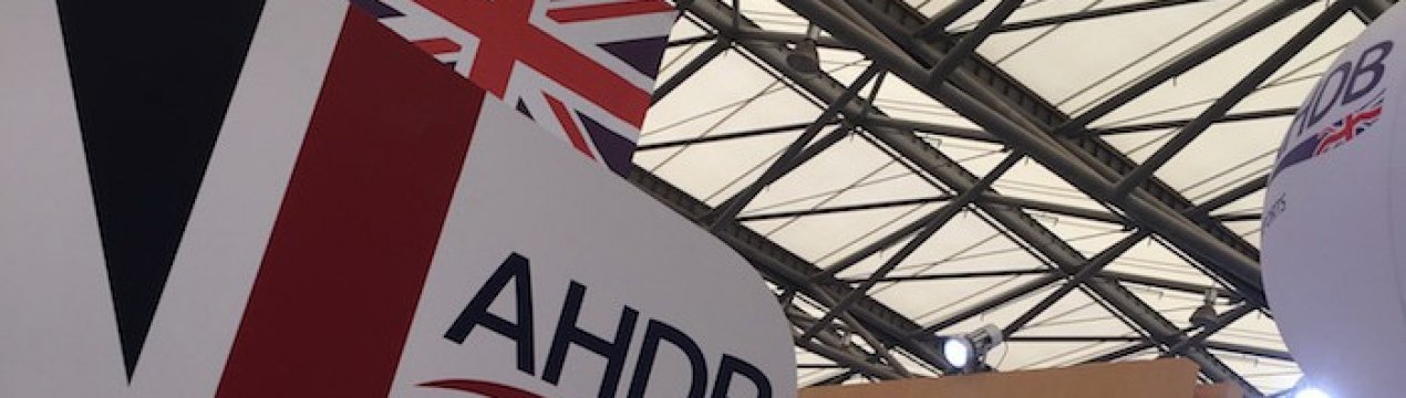 Сильний старт британського експорту свинини