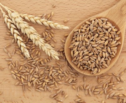 Навчившись вирощувати спельту, українські фермери забезпечать собі стабільно зростаючий прибуток