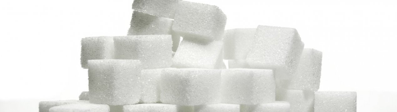 Гнідавський цукровий завод готується до сезону цукроваріння